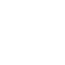 specialty paper